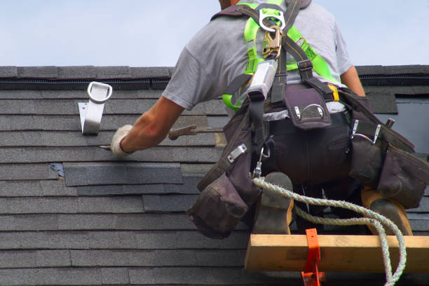 Best Storm Damage Roof Repair  in Fairview Heights, IL
