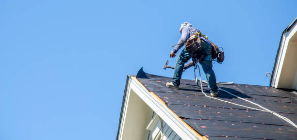 Best Metal Roofing Contractor  in Fairview Heights, IL